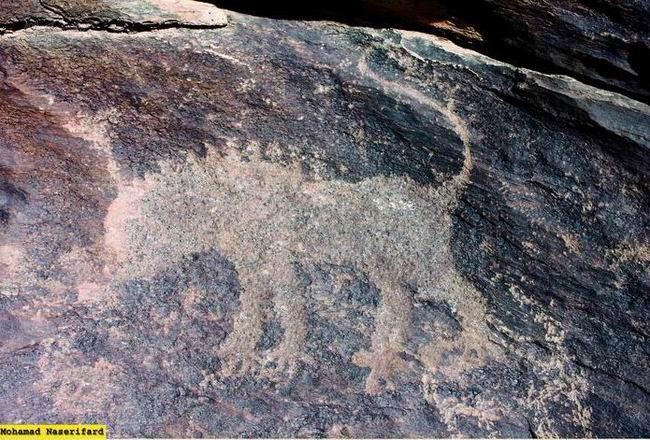 سنگ نگاره تیمره با نقوش حیوانات